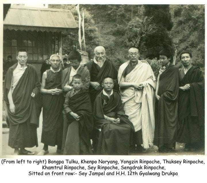 Ngài Sey Rinpoche đời trước và Ngài Shakya Shri đều có mặt trên cây truyền thừa Drukpa