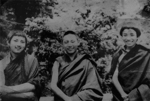 Ngài Sey Rinpoche đời trước và Ngài Shakya Shri đều có mặt trên cây truyền thừa Drukpa